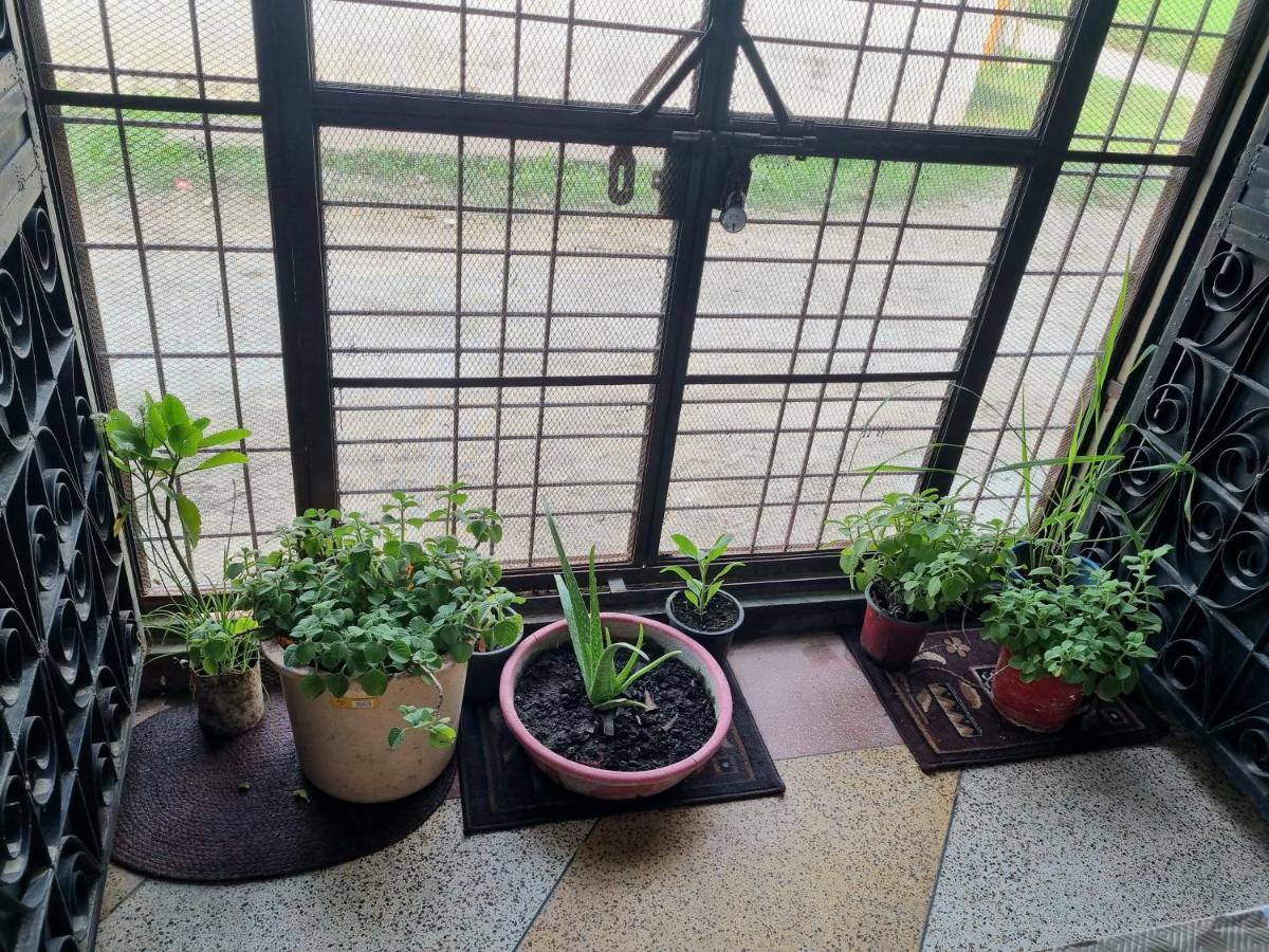 Jim Corbett Homestay *