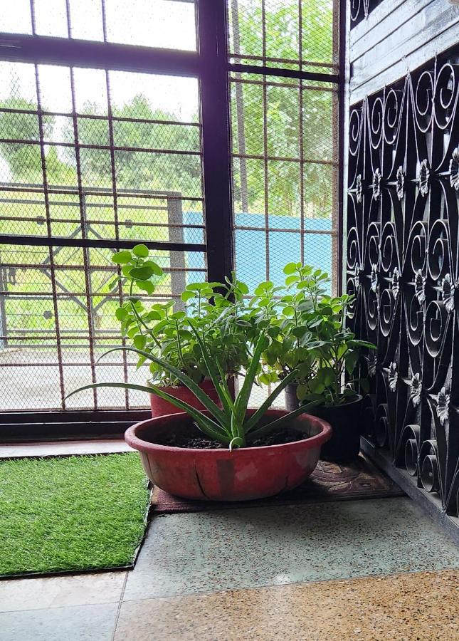 Homestay Jim Corbett Jhirna