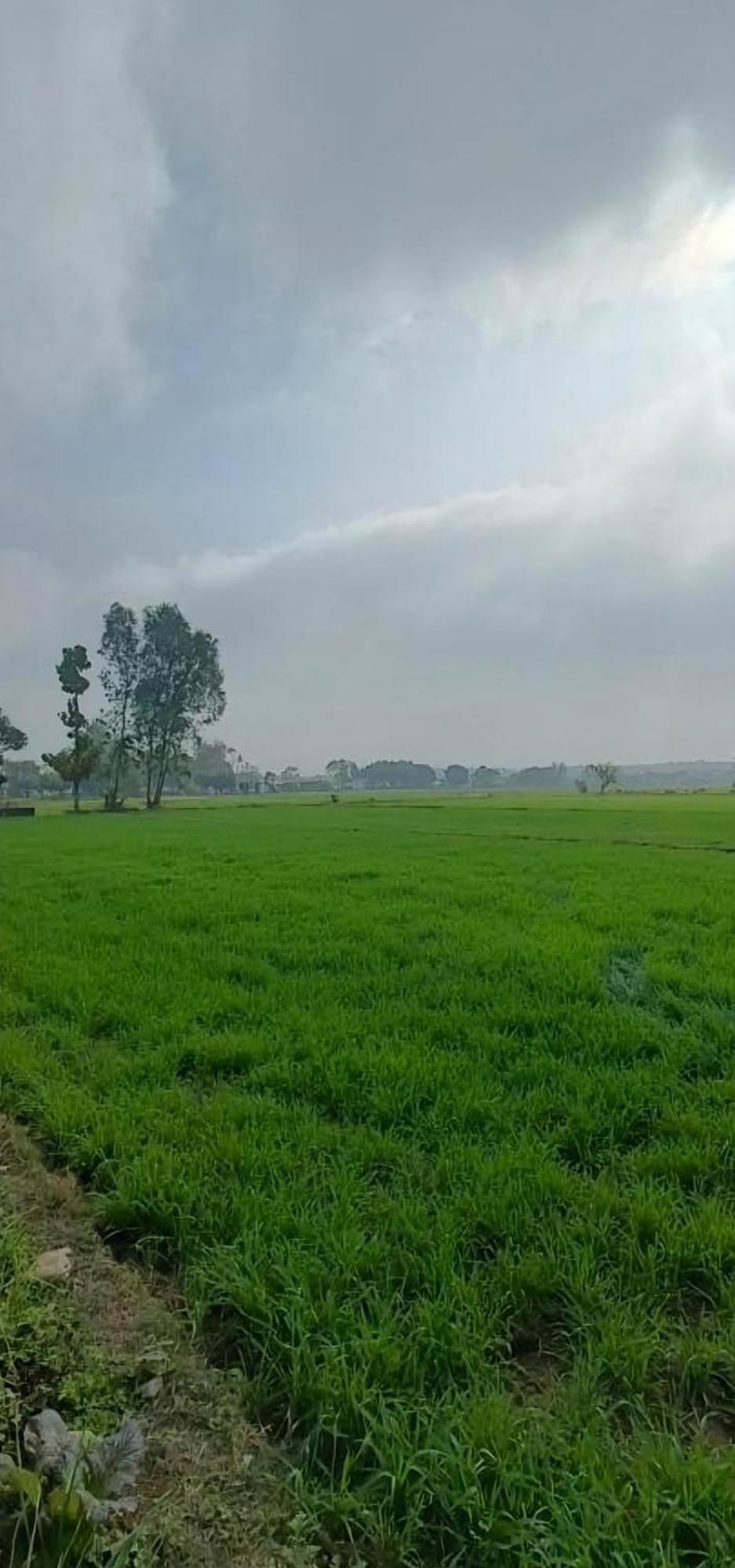 Homestay Jim Corbett *