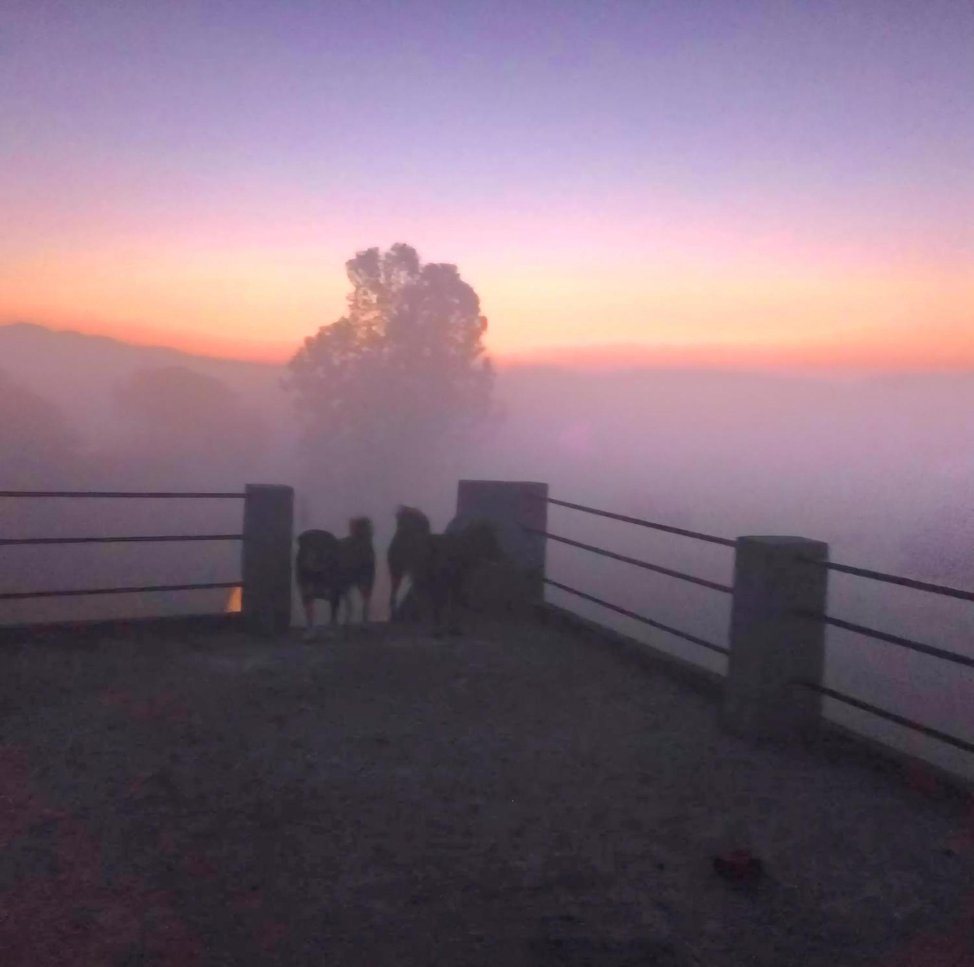 Jim Corbett Homestay Jhirna