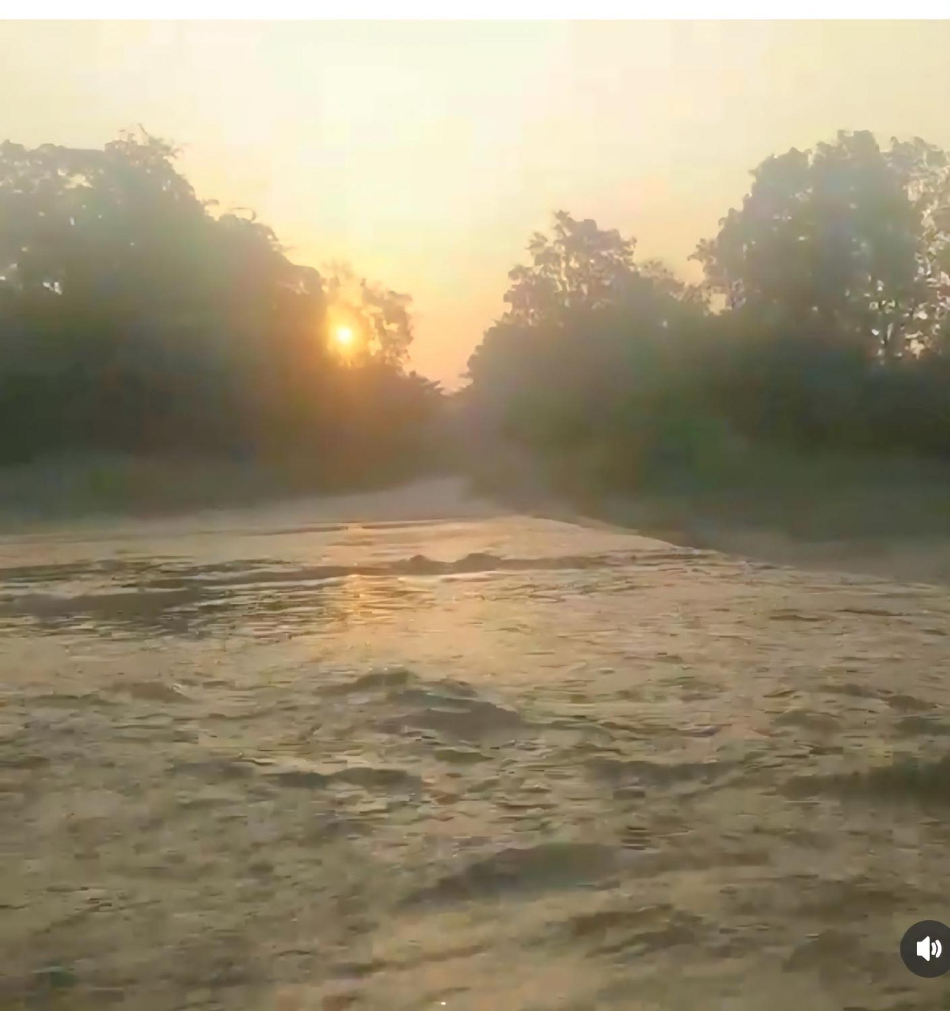 Jim Corbett